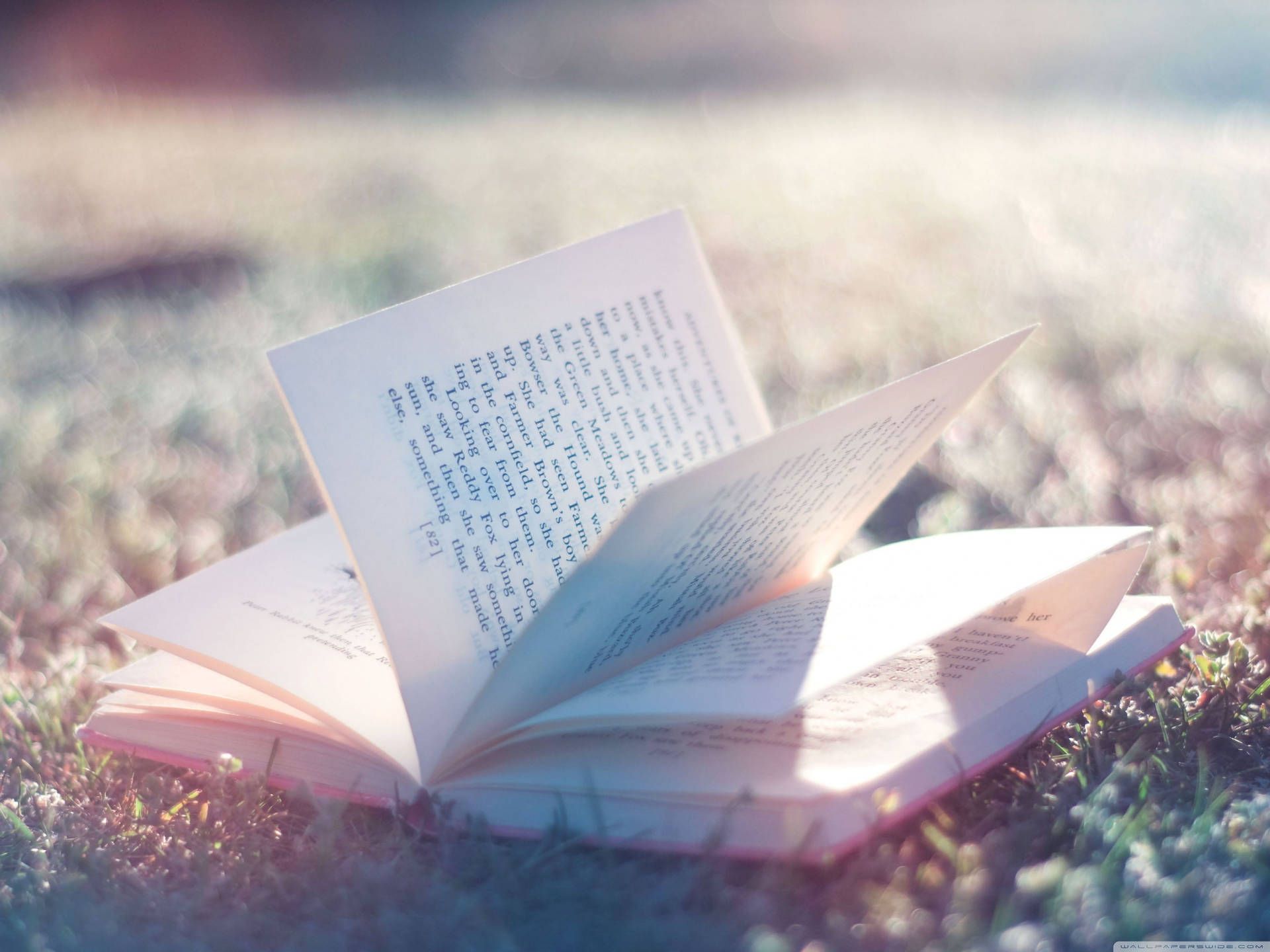 Offenes Buch, Wiese, Bokeh, Sonnenlicht, Pastelltöne, Full HD, iPad-Hintergrundbild