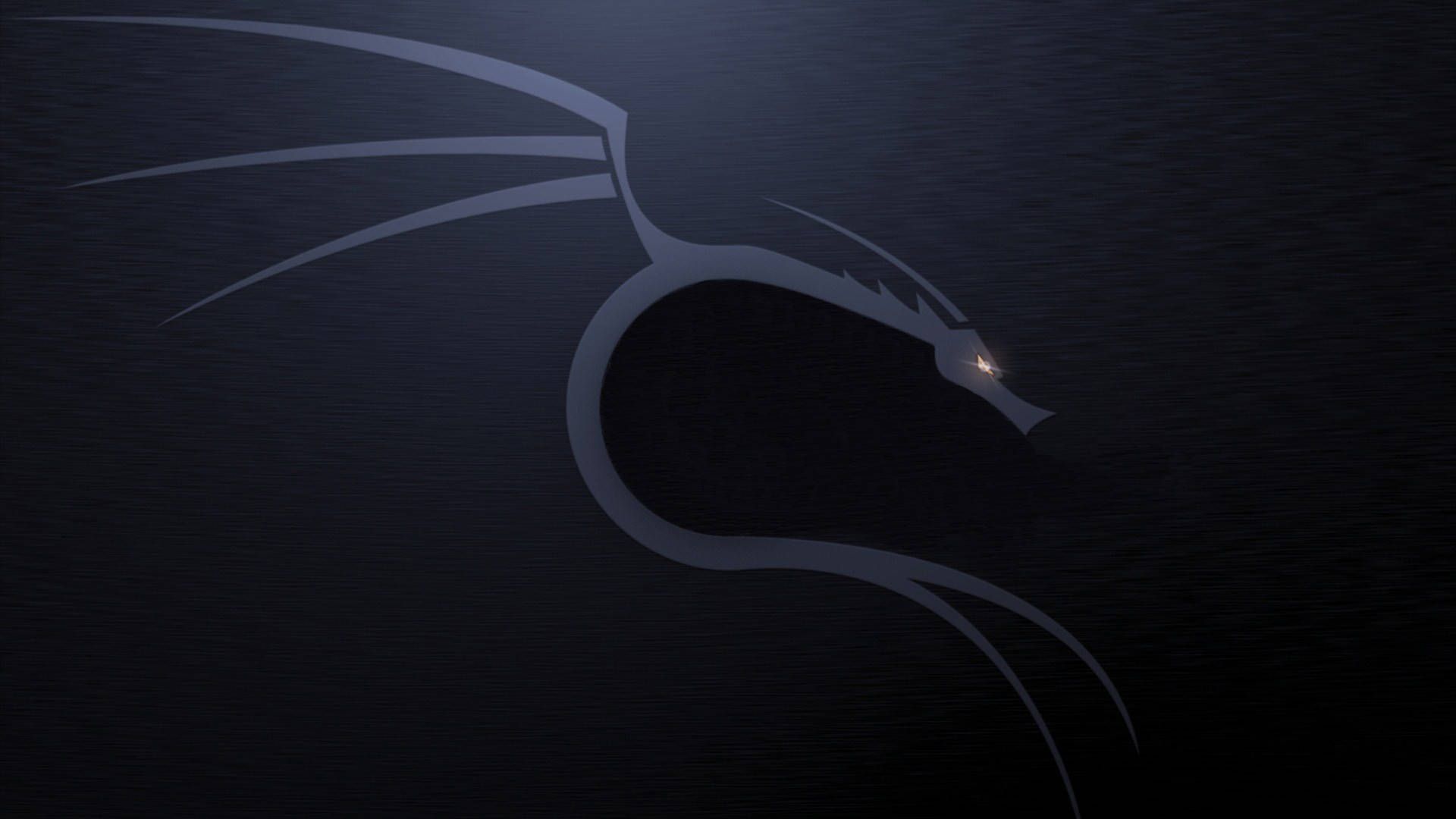 Kali Linux, Drache, Logo, Dunkel, Minimalistisch, 1920x1080, Full-HD-Hintergrundbild für PC