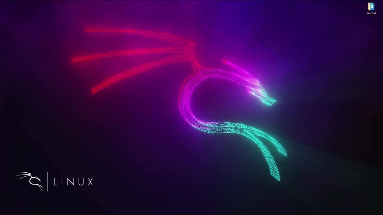 Kali Linux, Drache, Neonlicht, Logo, Lila, Pink, HD, Hintergrundbild für den PC