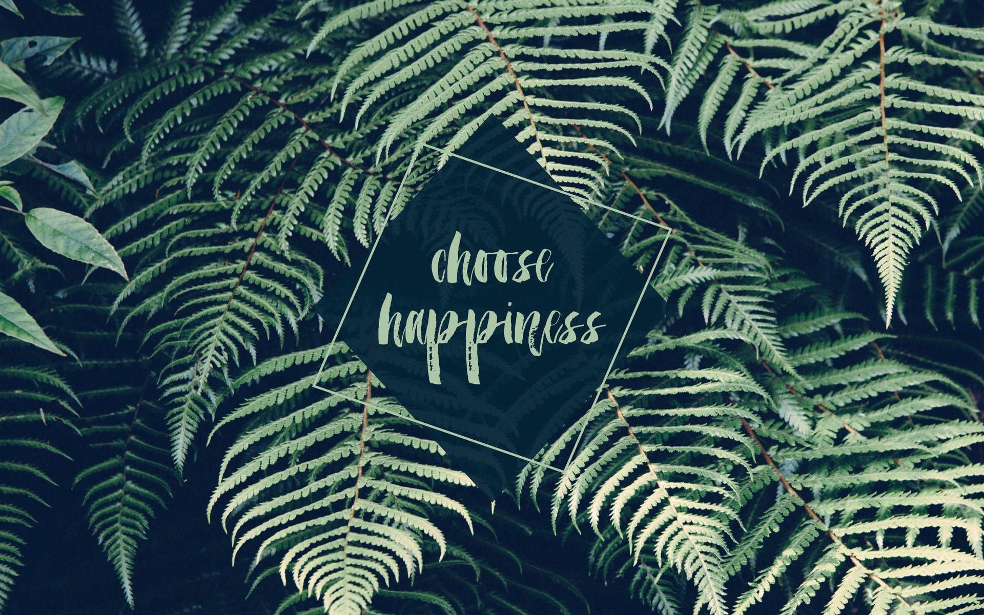 Choose happiness, Farnblätter, Zitat, Dunkelgrün, Natur, Full HD, MacBook-Hintergrundbild