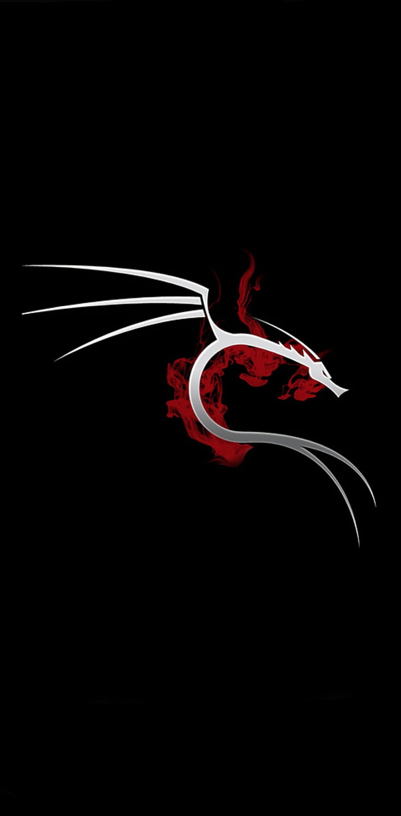 Kali Linux, Drache, Logo, Rot, Schwarzer Hintergrund, HD, Sperrbildschirm fürs iPhone
