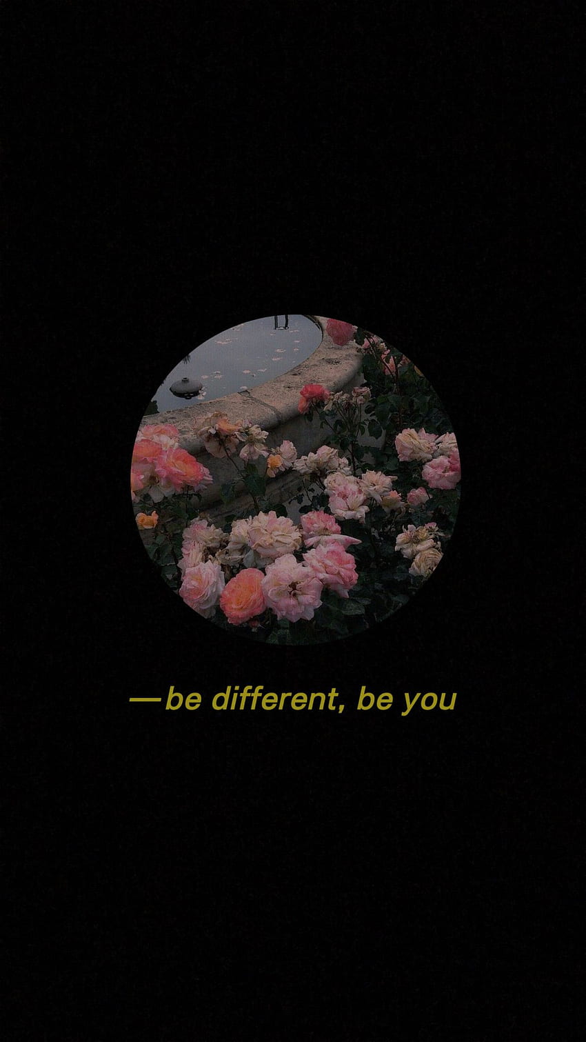 Be different, be you, Zitat, Rosen, Kreis, Schwarzer Hintergrund, Sperrbildschirm fürs iPhone