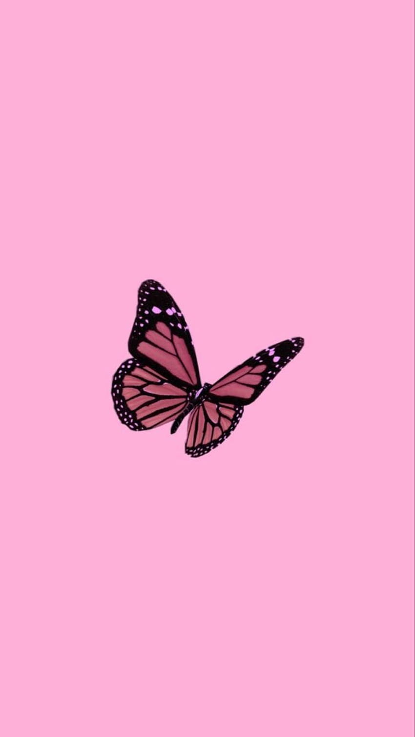 Schmetterling, Rosa Hintergrund, Minimalistisch, Schwarz, Sperrbildschirm fürs iPhone