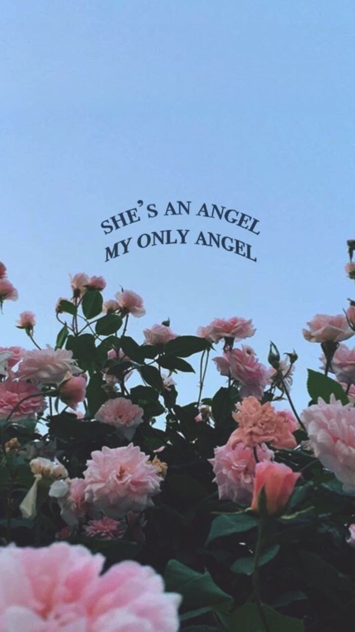 She's an angel, Zitat, Rosen, Rosenstrauch, Blauer Himmel, Android-Hintergrundbild
