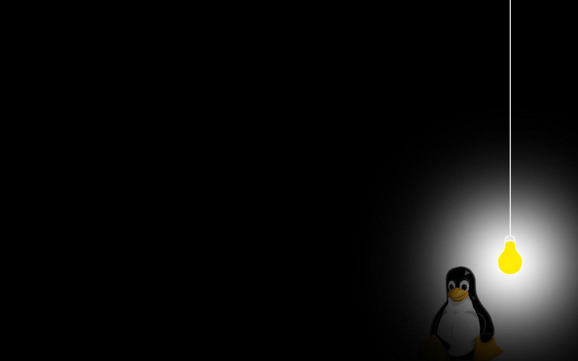 Tux, Linux, Pinguin, Glühbirne, Schwarzer Hintergrund, Minimalistisch, Full HD Wallpaper
