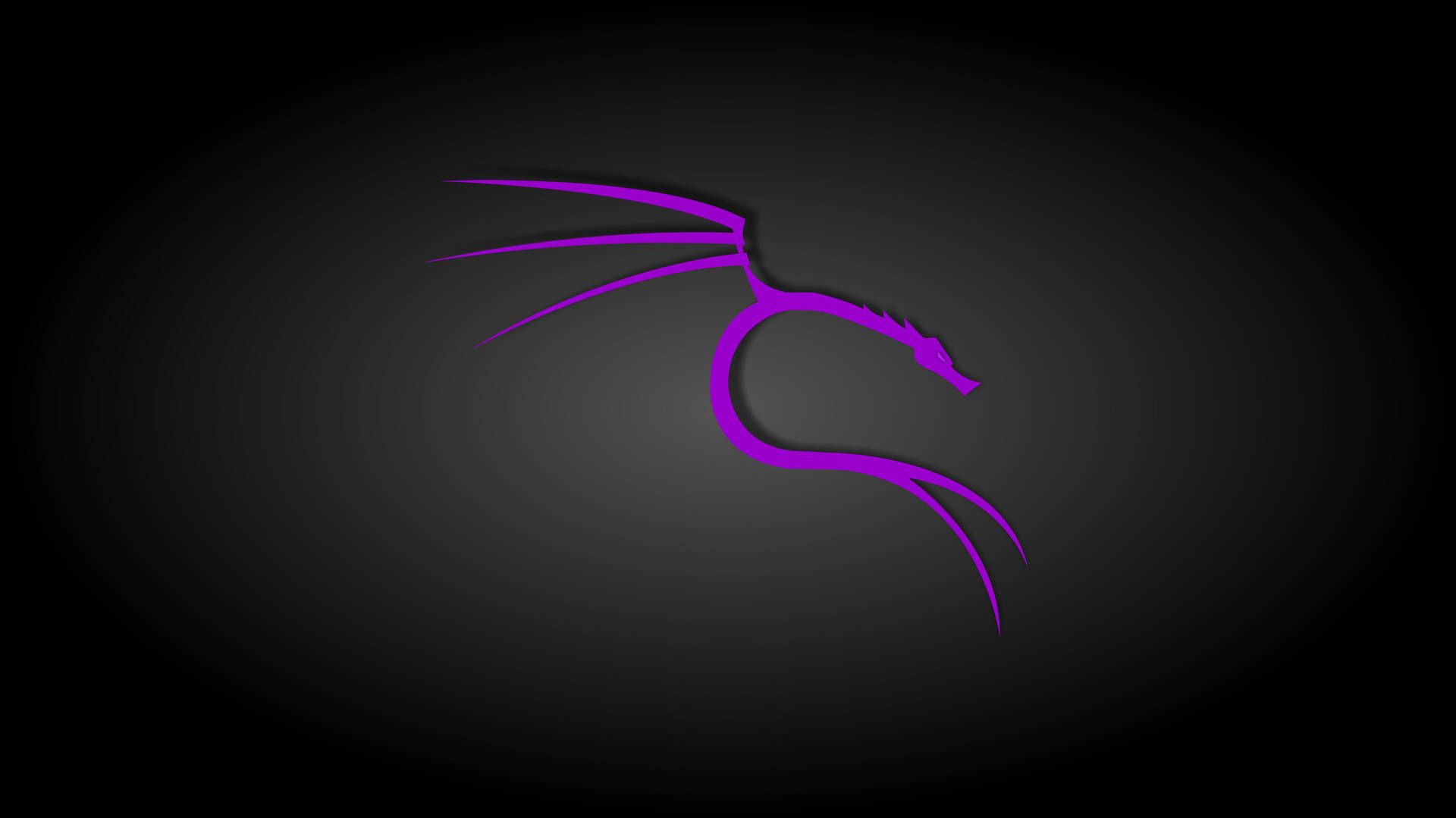 Kali Linux, Drache, Logo, Lila, Dunkelgrau, 16:9, Full-HD-Hintergrundbild für den Desktop