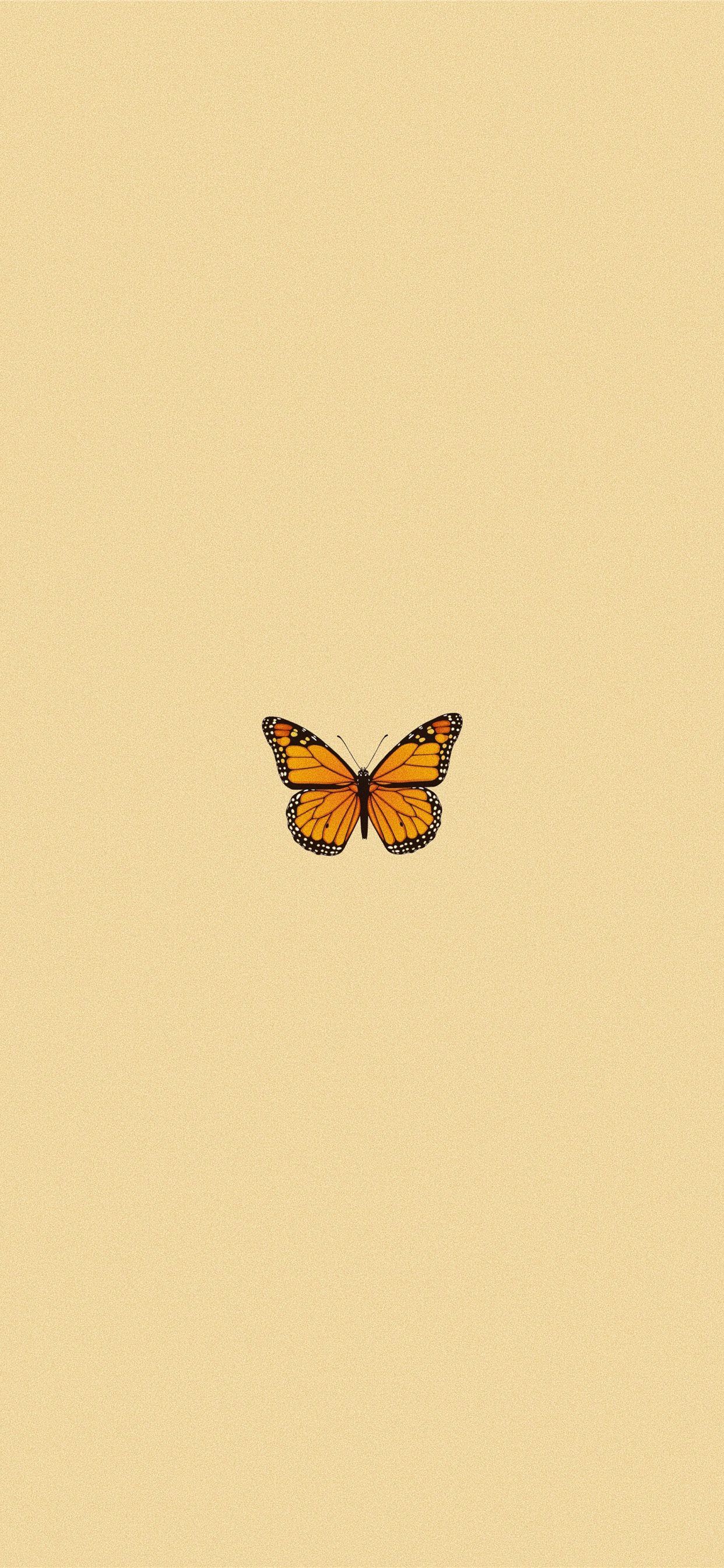 Schmetterling, Icon, Minimalistisch, Beige Hintergrund, Full HD, Sperrbildschirm fürs iPhone