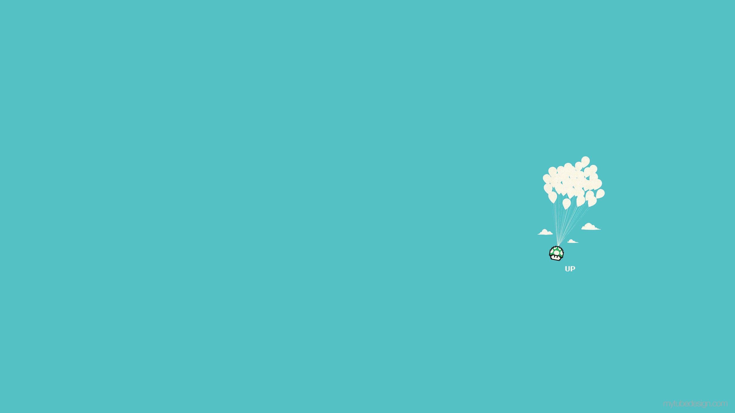 Blumenstrauß, Türkis, Minimalistisch, Weiße Blumen, 2K 1440p, Desktop-Hintergrundbild