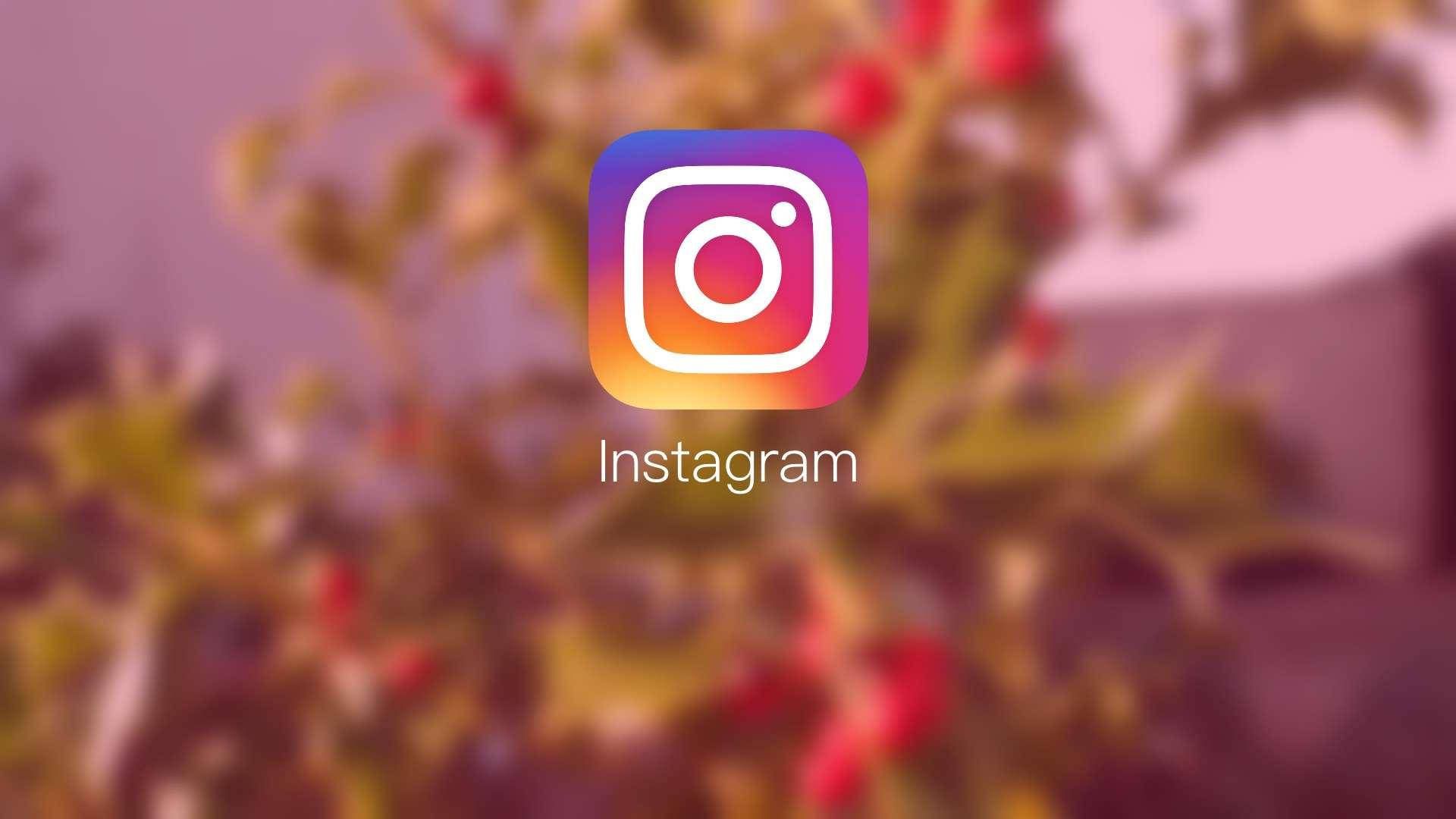 Instagram-Logo, Instagram, App-Icon, Unschärfe, Rote Beeren, Full HD, Laptop-Hintergrundbild