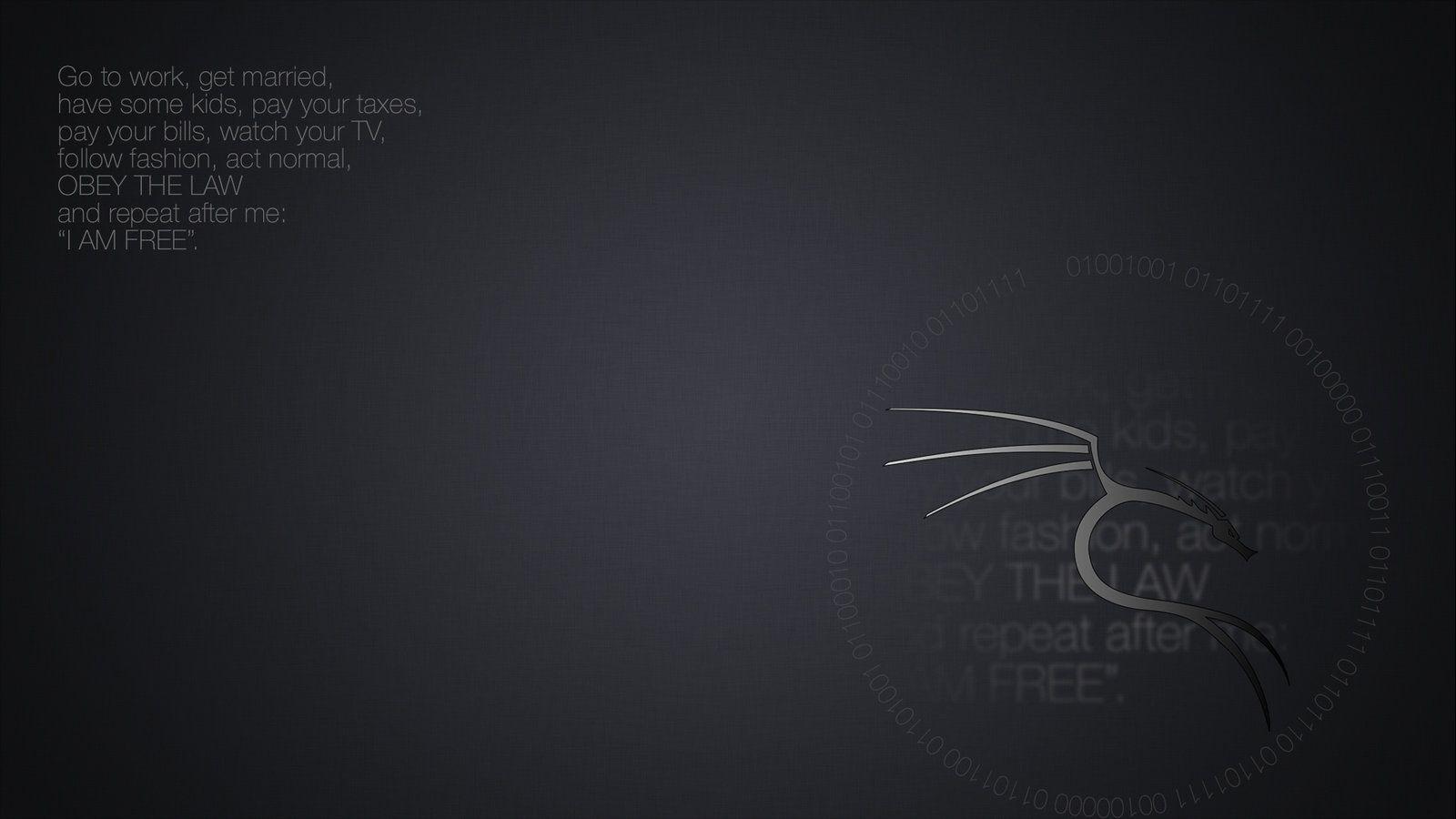 Kali Linux, Drache, Text, Dunkelgrau, Minimalistisch, HD, Desktop-Hintergrund für Windows
