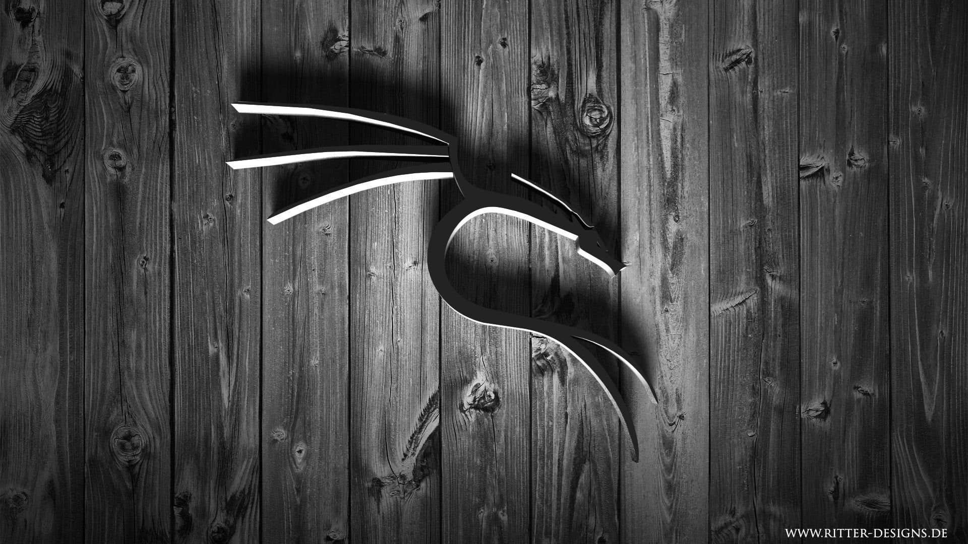 Kali Linux, Drache, Holzwand, Schwarz-Weiß, Logo, Full HD 1080p, Desktop-Hintergrundbild