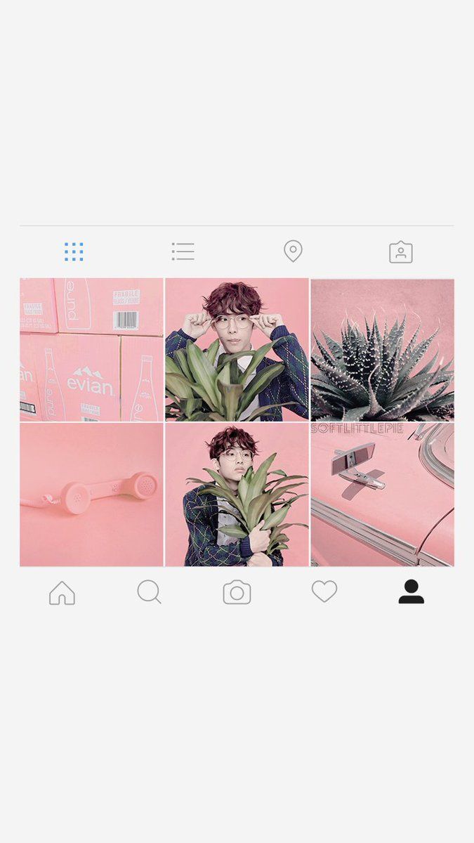 Instagram-Profil, Feed, Mockup, Agave, Rosa, Hintergrundbild für iPhone und Android