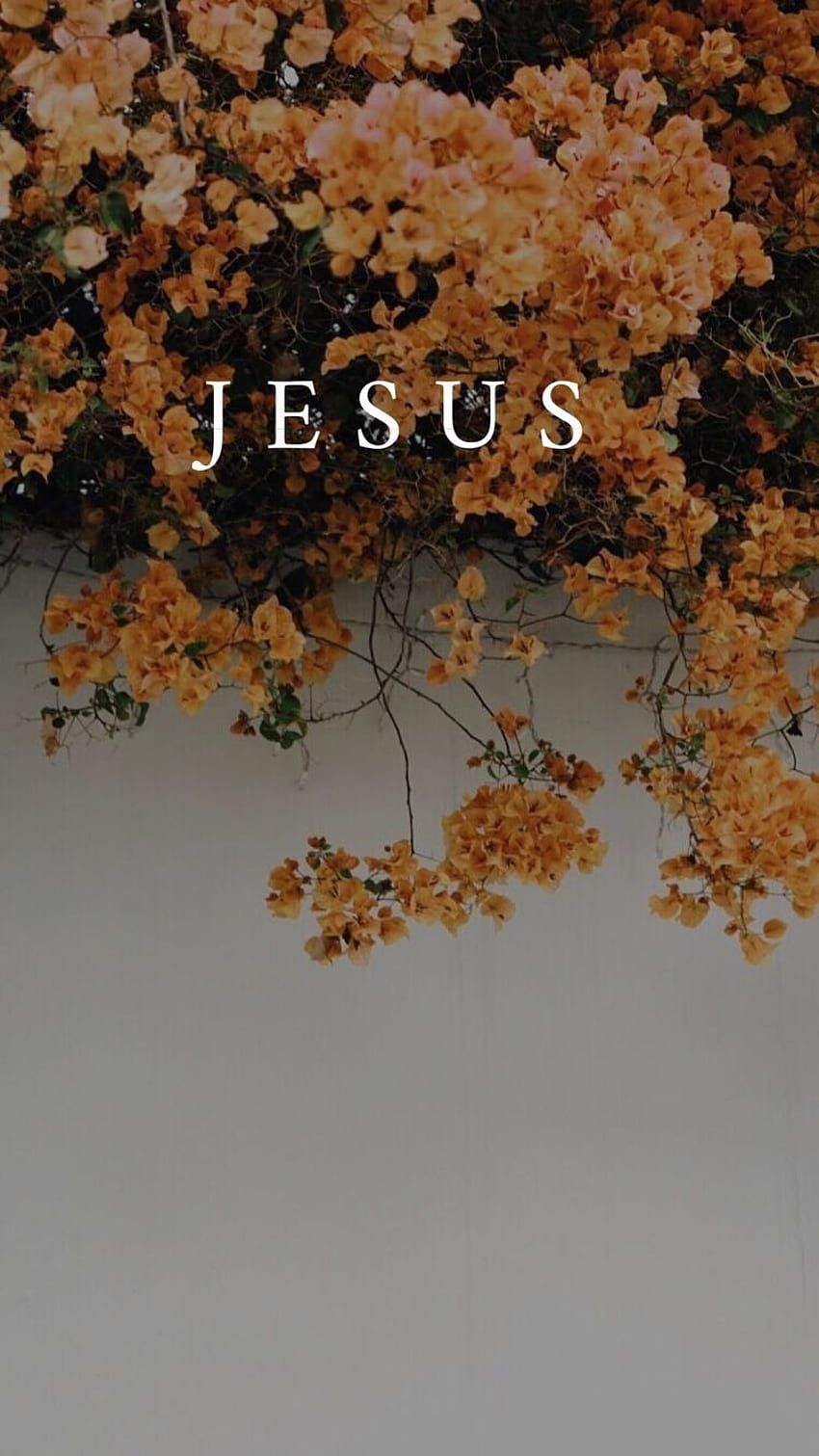 Jesus, Typografie, Blüten, Orange, Grauer Himmel, HD, Handy-Hintergrund im Hochformat