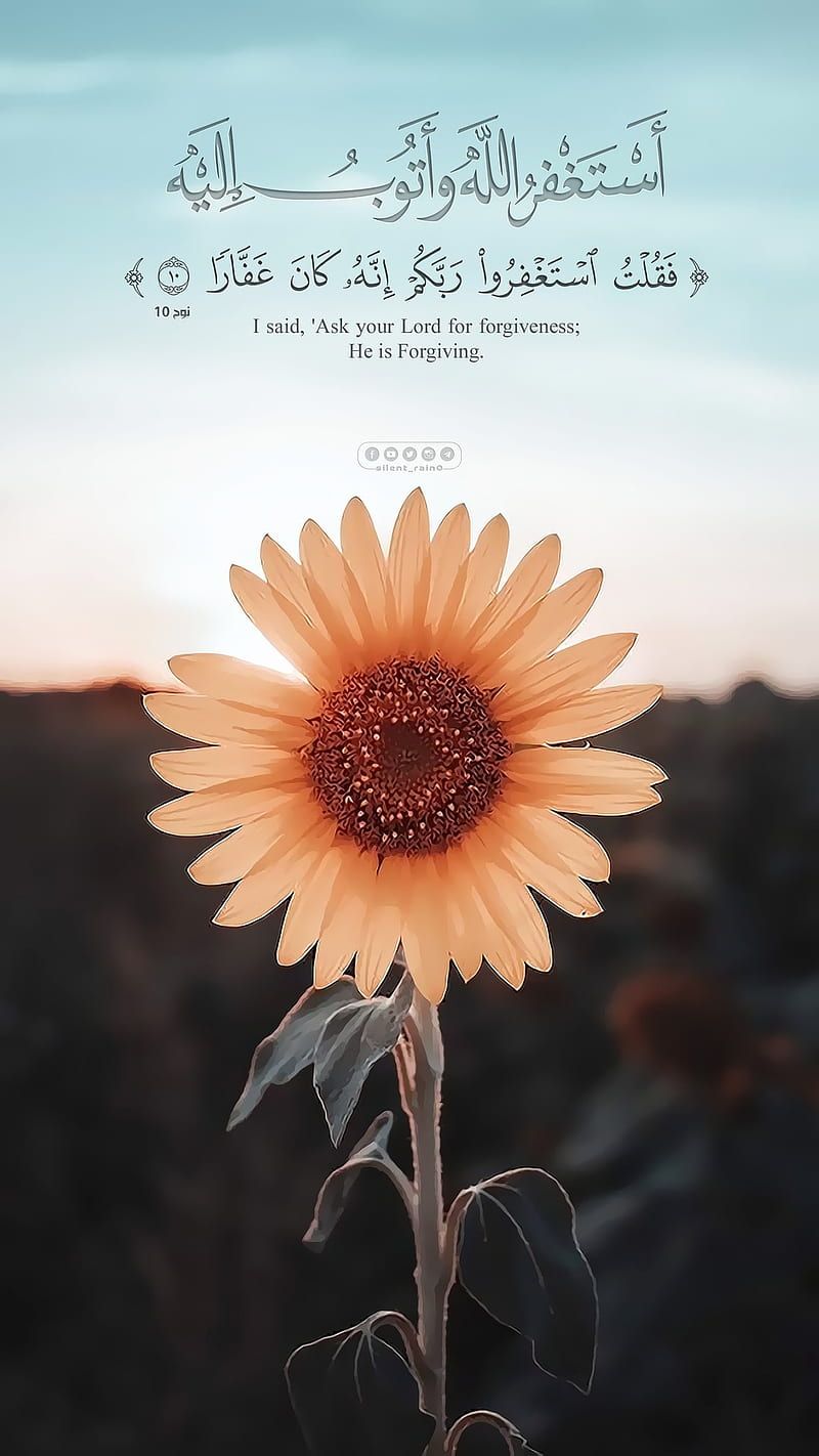Sonnenblume, Arabische Kalligrafie, Koranvers, Abendhimmel, Blume, Hintergrundbild fürs Handy