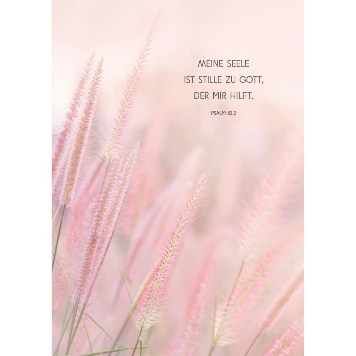 Psalm 62, Meine Seele ist stille zu Gott, Gräser, Rosa, Bibelvers, Hintergrundbild fürs Tablet