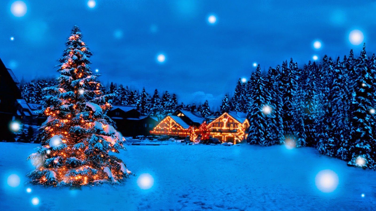 Weihnachtsbaum, Winterlandschaft, Tannenwald, Schneefall, Blaue Stunde, HD-Hintergrundbild für PC