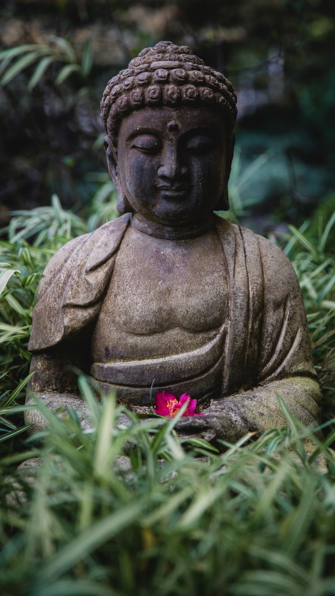 Steinerner Buddha, Garten, Gras, Meditation, Grüne Töne, Full HD, Handy-Hintergrund