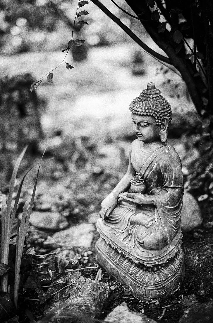 Buddha-Statue, Garten, Schwarzweiß, Bäume, Meditation, HD, Hintergrundbild fürs Handy