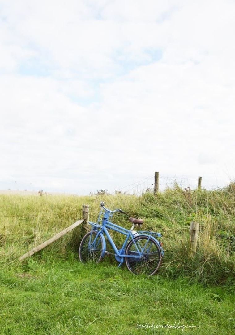 Fahrrad, Wiese, Zaun, Weißer Himmel, Minimalismus, HD, Hintergrundbild fürs Tablet