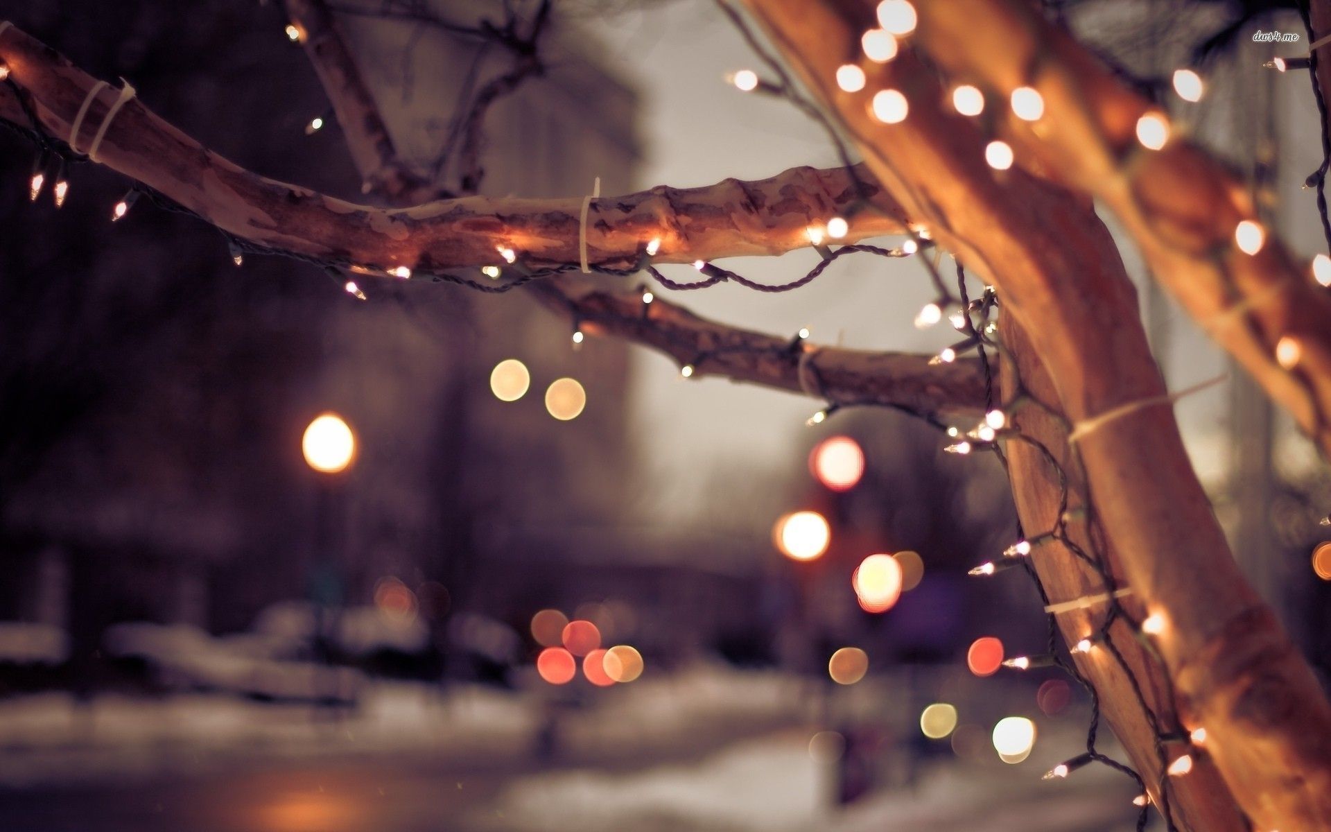 Lichterkette, Ast, Bokeh, Abendstimmung, Warmes Licht, 16:10, Full-HD-Hintergrundbild für den Desktop