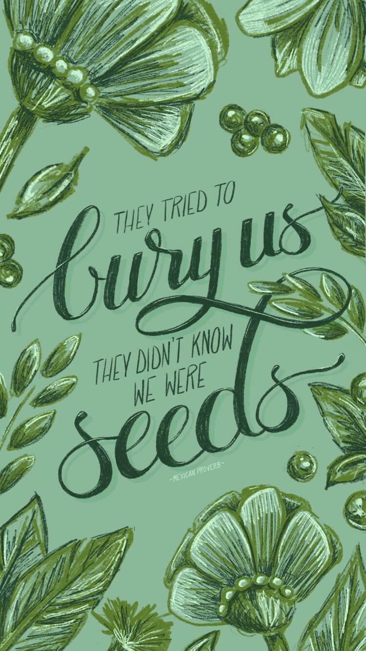 They tried to bury us, Samen, Kalligrafie, Blätter, Grün, Android-Hintergrundbild