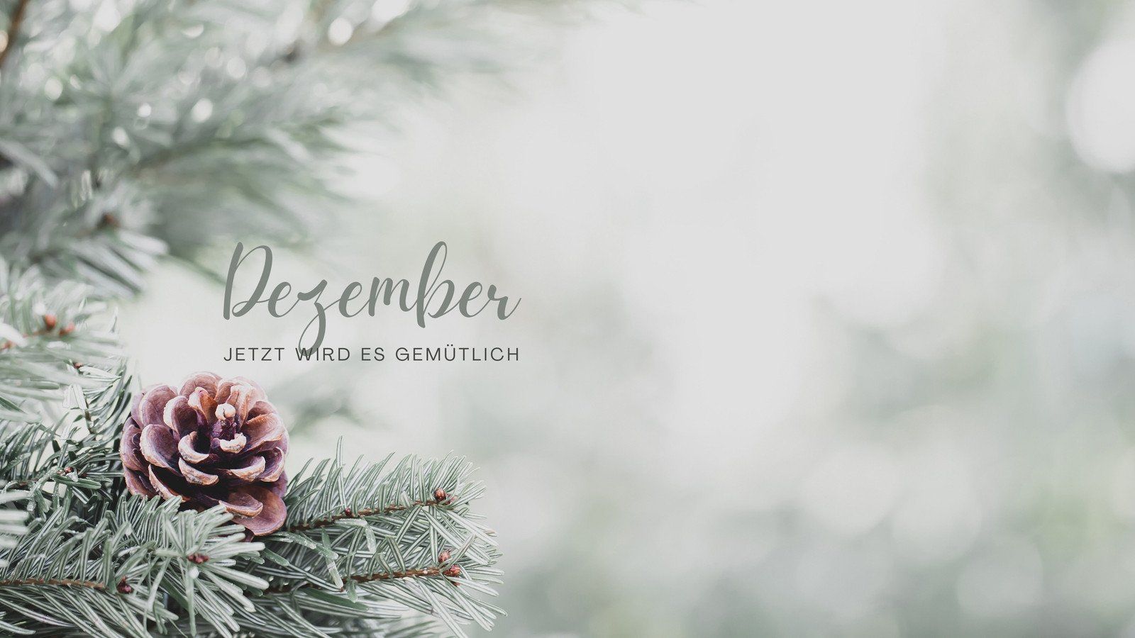 Dezember, Tannenzweige, Tannenzapfen, Schriftzug, Raureif, HD, Laptop-Hintergrundbild