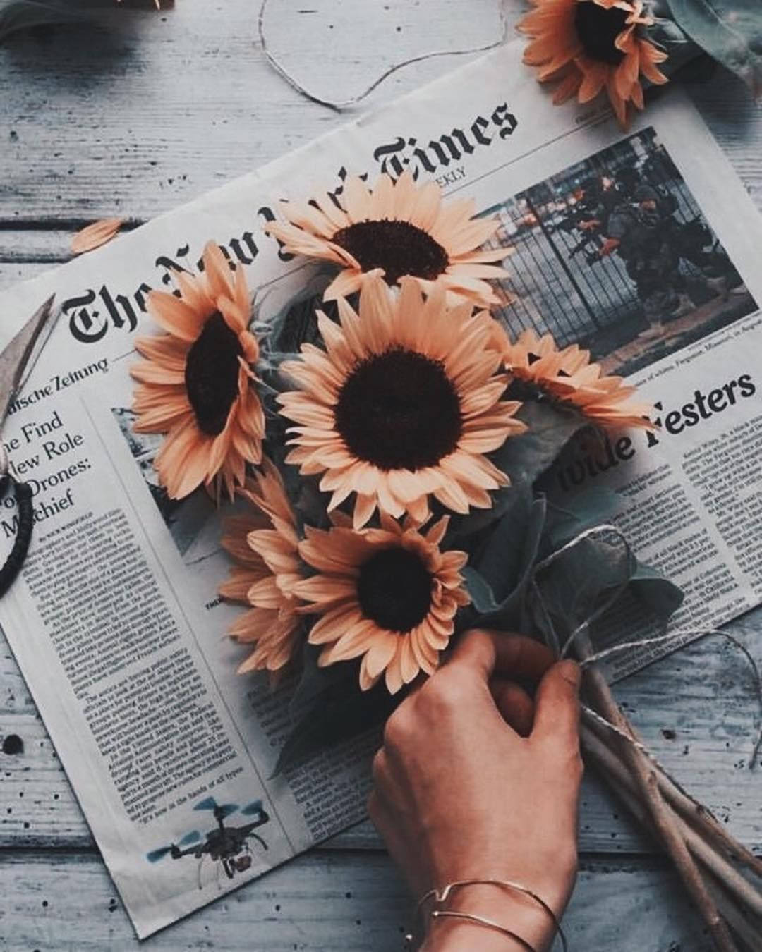 Sonnenblumen, The New York Times, Zeitung, Hand, Blumenstrauß, Vintage, Full HD, Tablet-Hintergrund