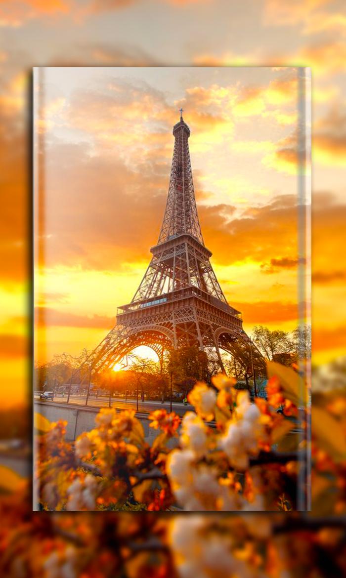 Eiffelturm, Paris, Sonnenuntergang, Blumen, Goldenes Licht, Rahmen, Hintergrundbild fürs Handy