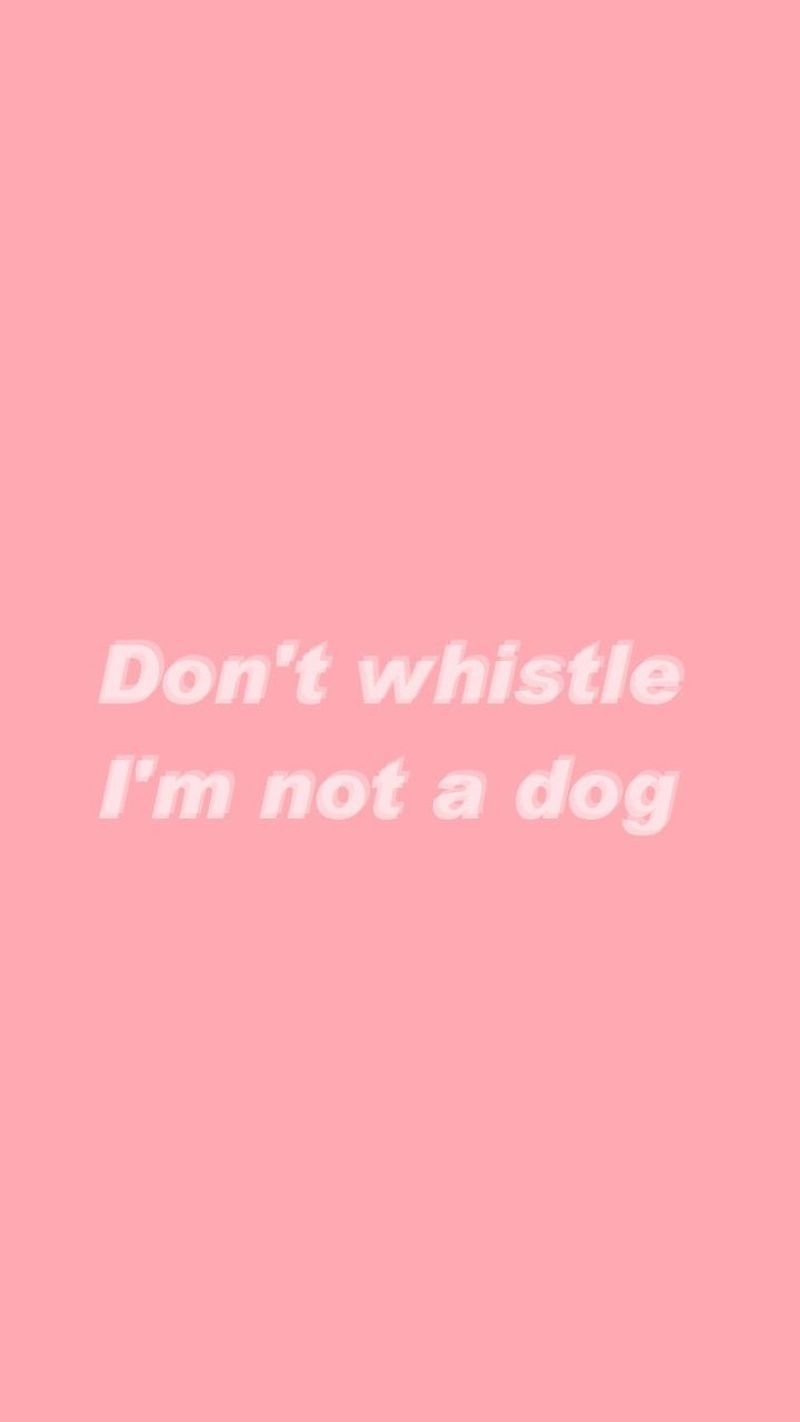 Don't whistle, I'm not a dog, Spruch, Rosa Hintergrund, Typografie, Sperrbildschirm fürs iPhone