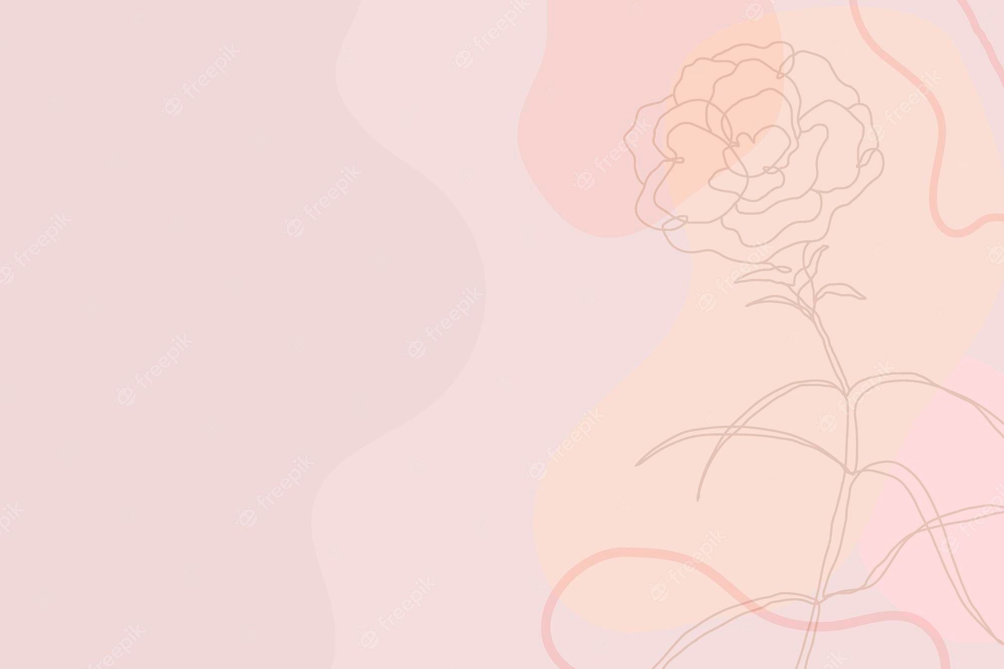 Rose, Line Art, Rosa, Pfirsich, Pastell, Full HD, Desktop-Hintergrund für Windows