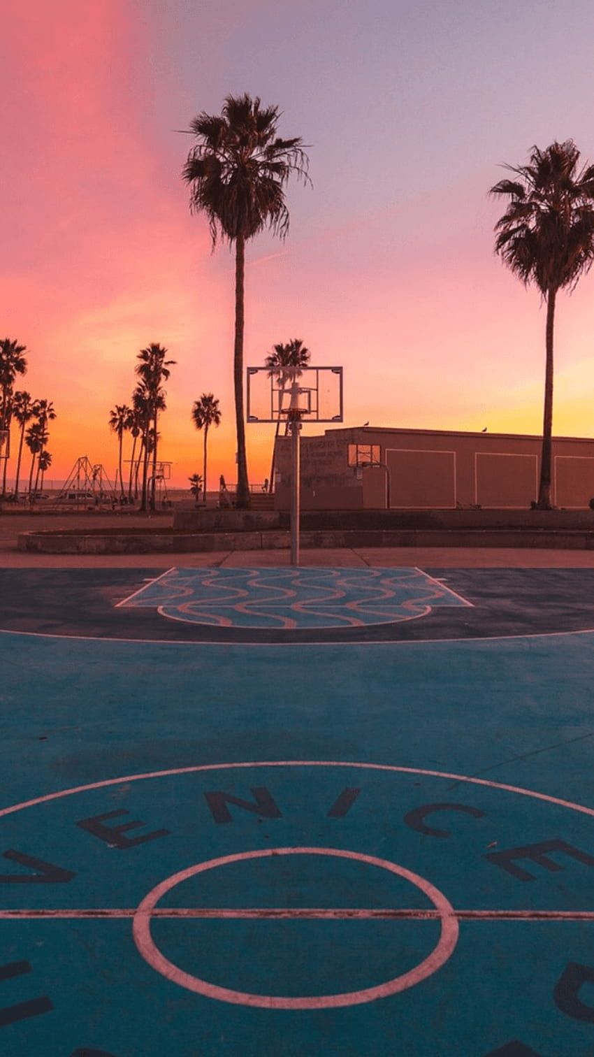 Basketballplatz, Palmen, Sonnenuntergang, Rosa Himmel, Freiplatz, Hintergrundbild fürs Handy