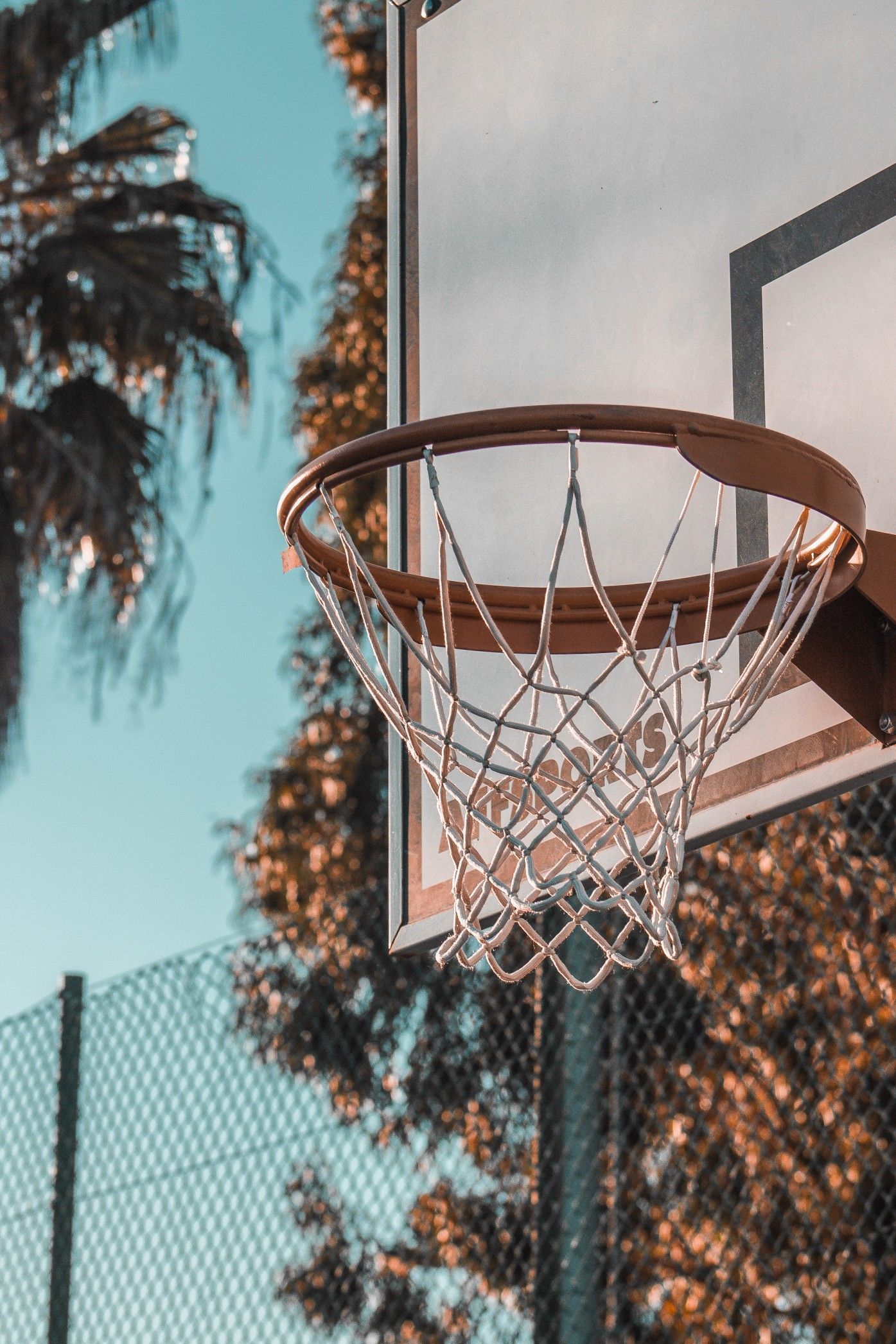 Basketballkorb, Palmen, Zaun, Blauer Himmel, Froschperspektive, Full HD, Handy-Hintergrundbild