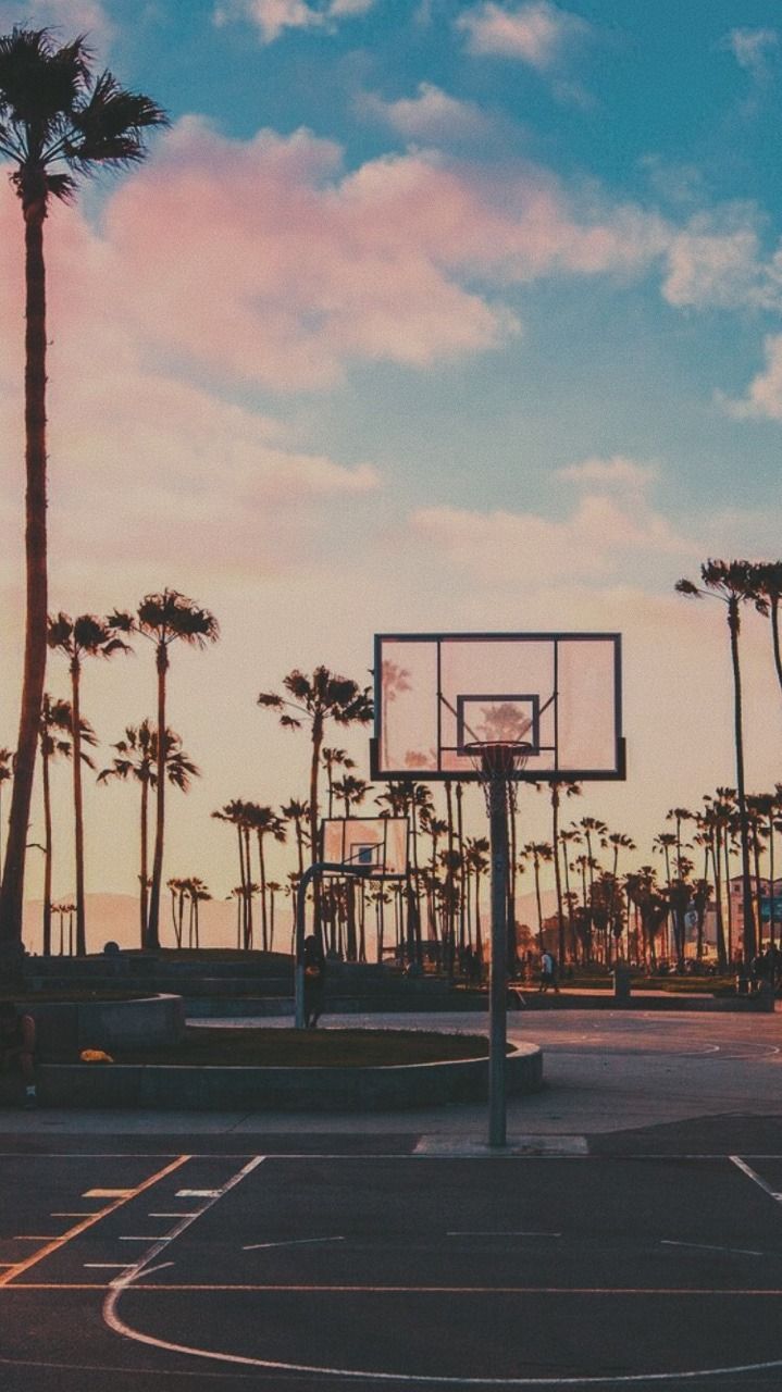 Basketballplatz, Palmen, Abendhimmel, Korb, Freiplatz, Hochformat, Hintergrundbild fürs Smartphone