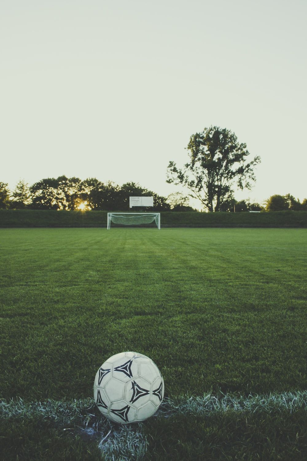 Fußball, Rasen, Fußballplatz, Baum, Abend, HD, Handy-Hintergrund im Hochformat