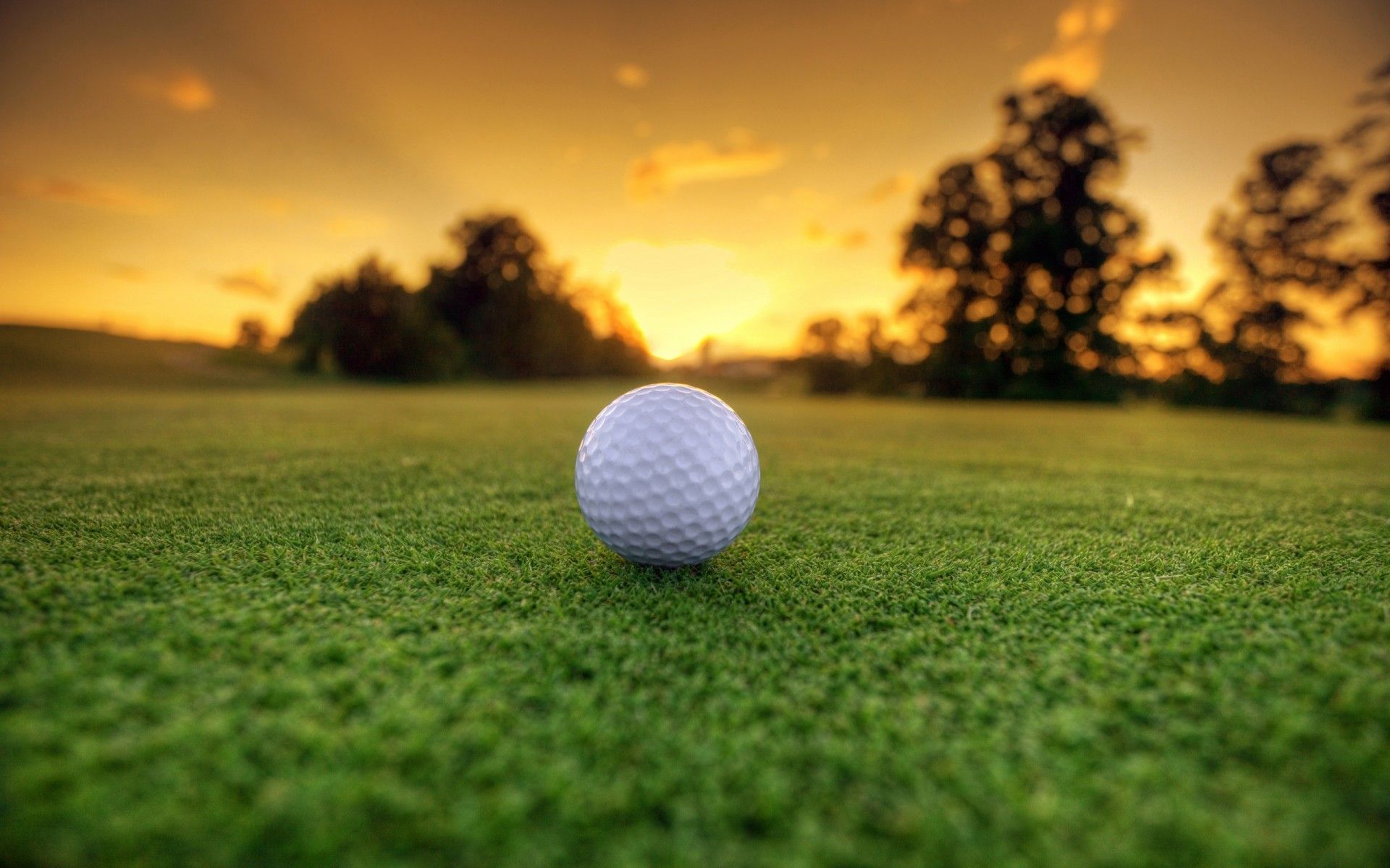 Golfball, Rasen, Sonnenuntergang, Bäume, Gegenlicht, 16:10, Full-HD-Hintergrundbild für den Desktop
