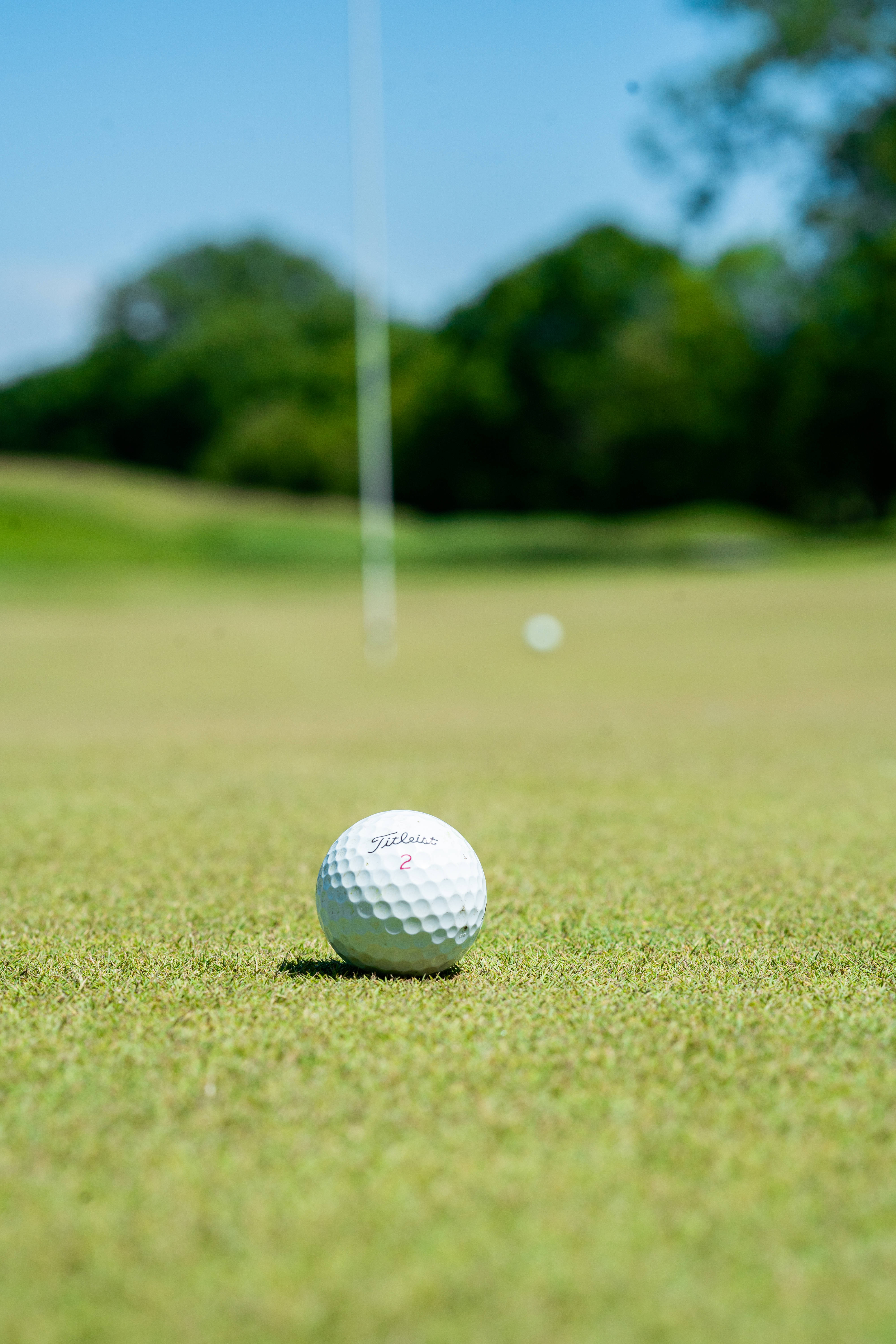 Golfball, Fahne, Grün, Bäume, QHD+, Hintergrundbild fürs Handy