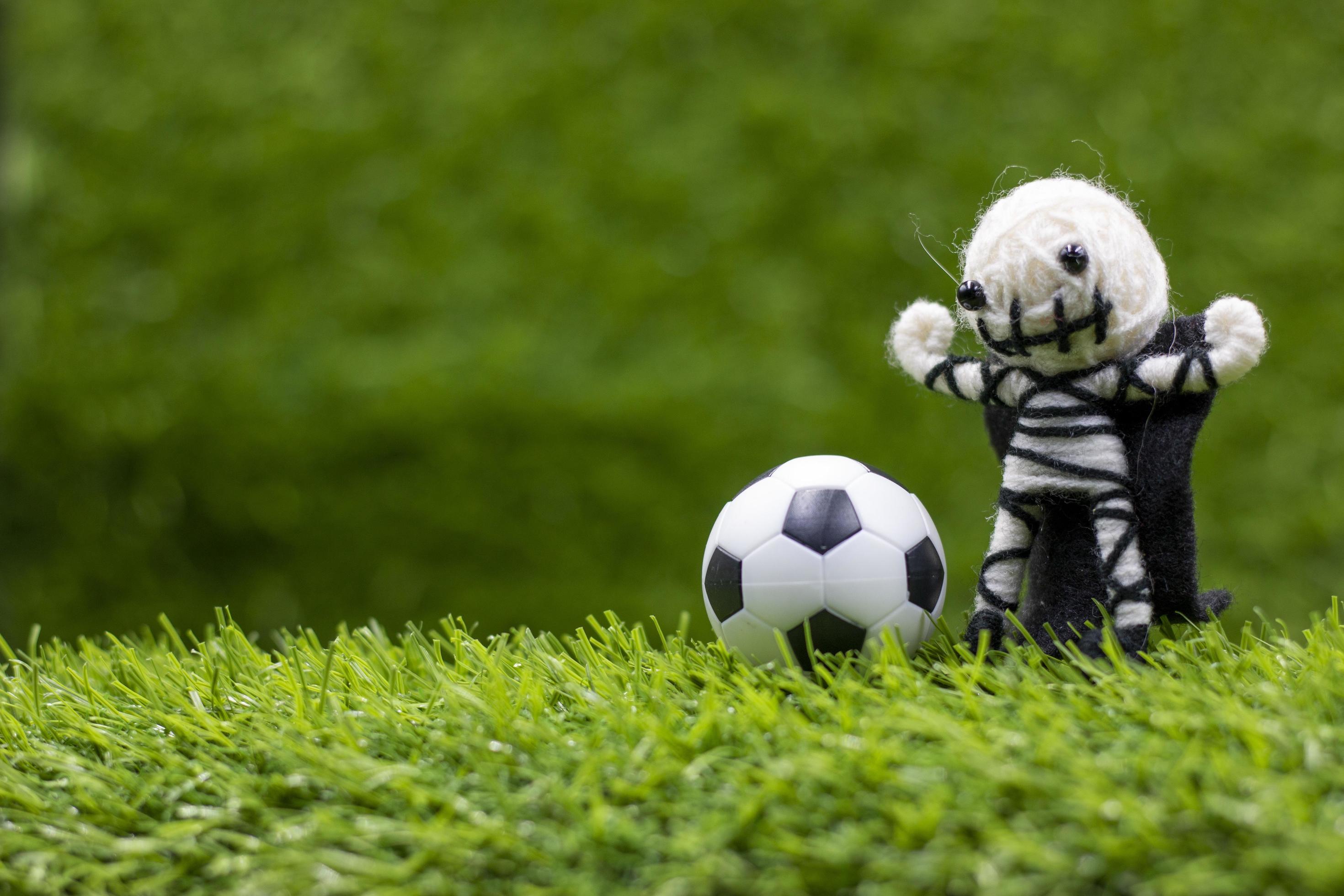 Fußball, Plüschfigur, Rasen, Lustig, Nahaufnahme, 2K, Desktop-Hintergrund für Windows