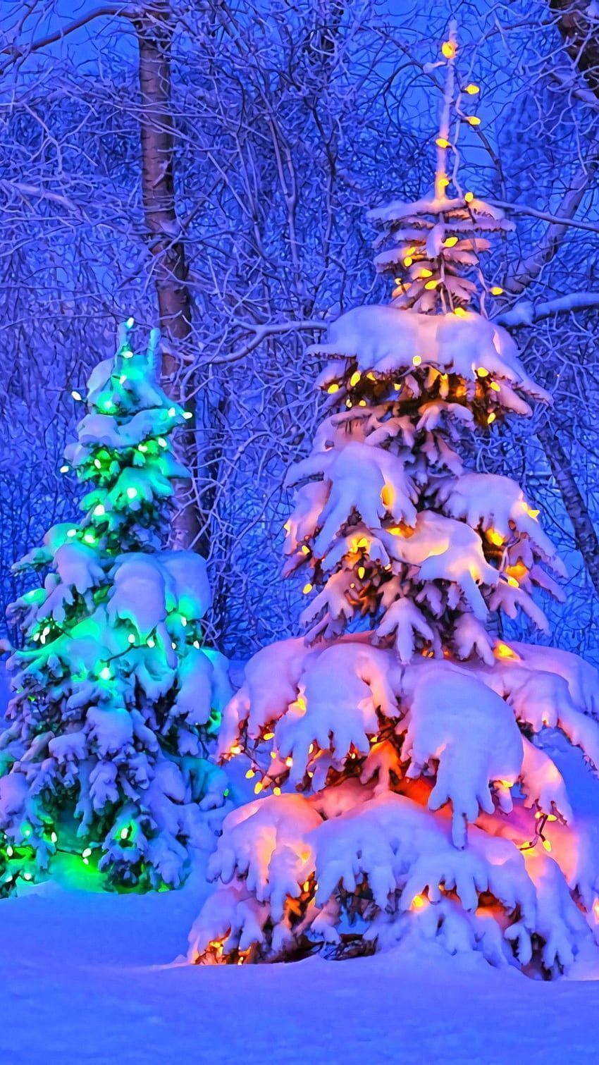 Verschneiter Baum, Bunte Lichter, Schnee, Nacht, Violette Töne, HD, Handy-Hintergrund