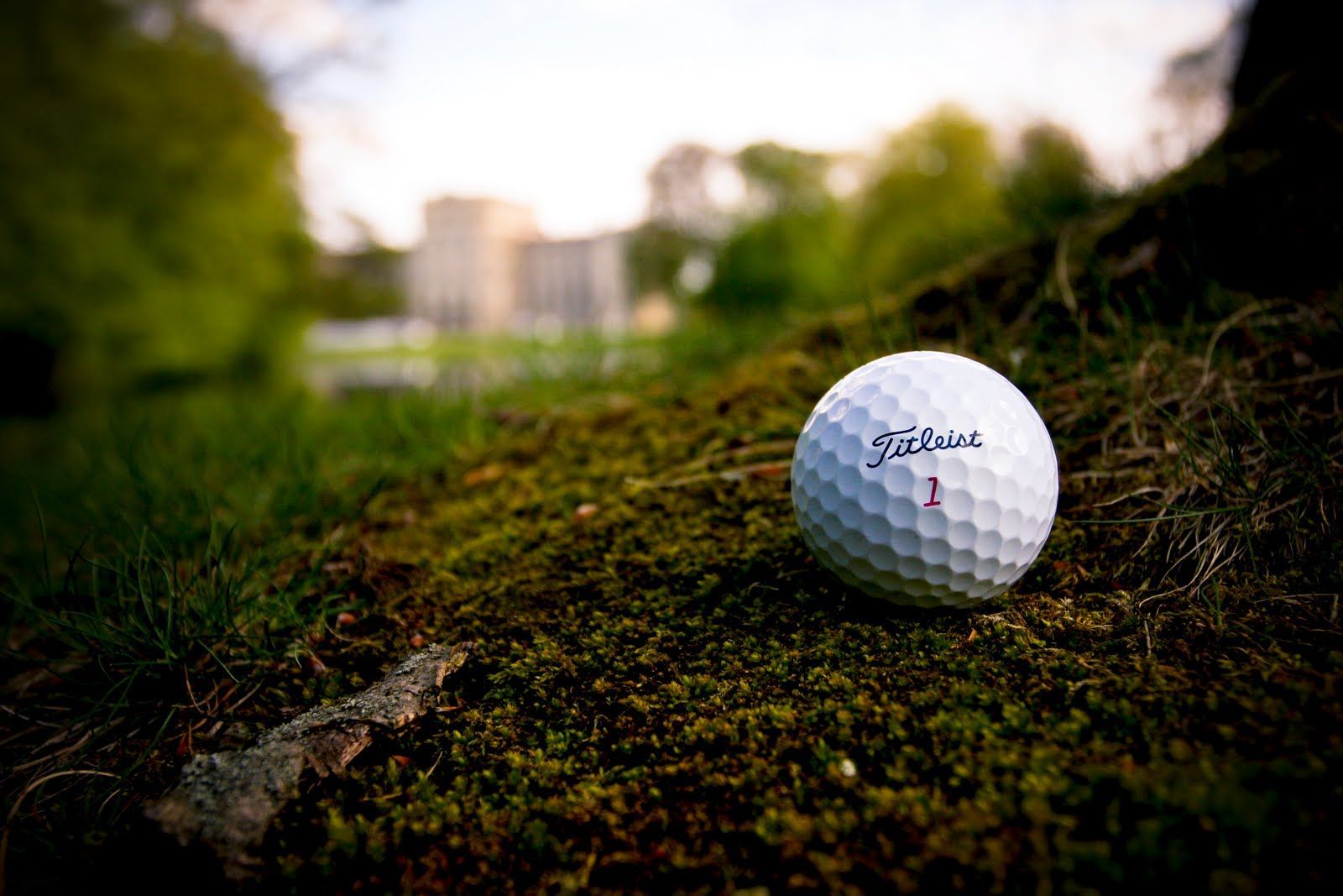 Titleist, Golfball, Gras, Bokeh, HD, Hintergrundbild für den PC