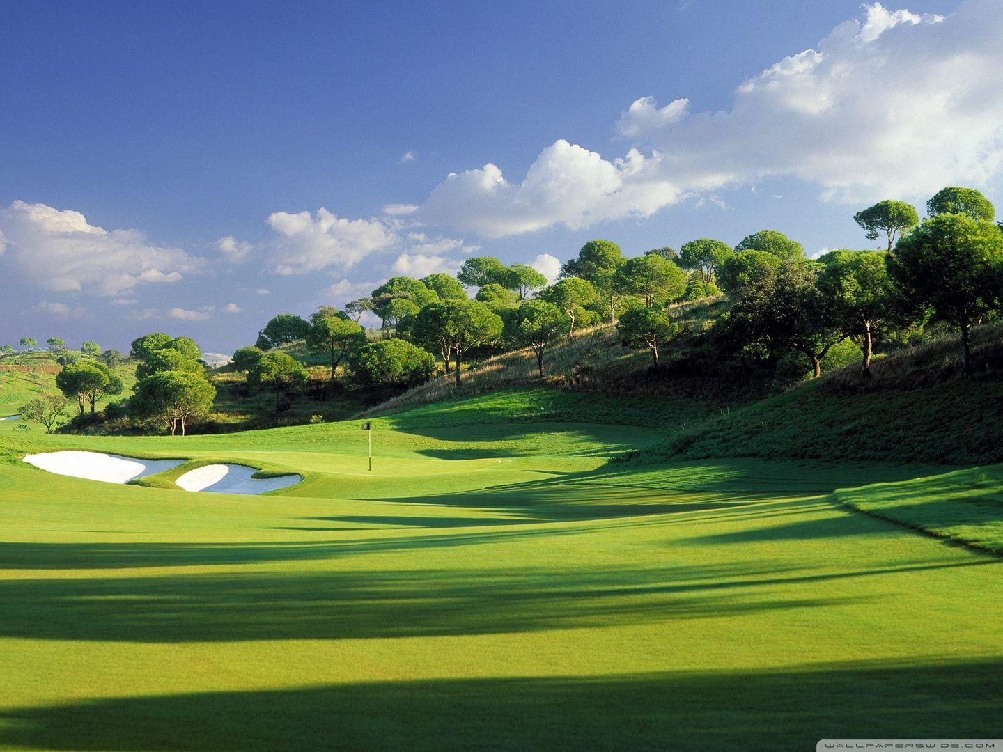Golfplatz, Fairway, Pinien, Bunker, Blauer Himmel, Hintergrundbild für iPad und Tablet