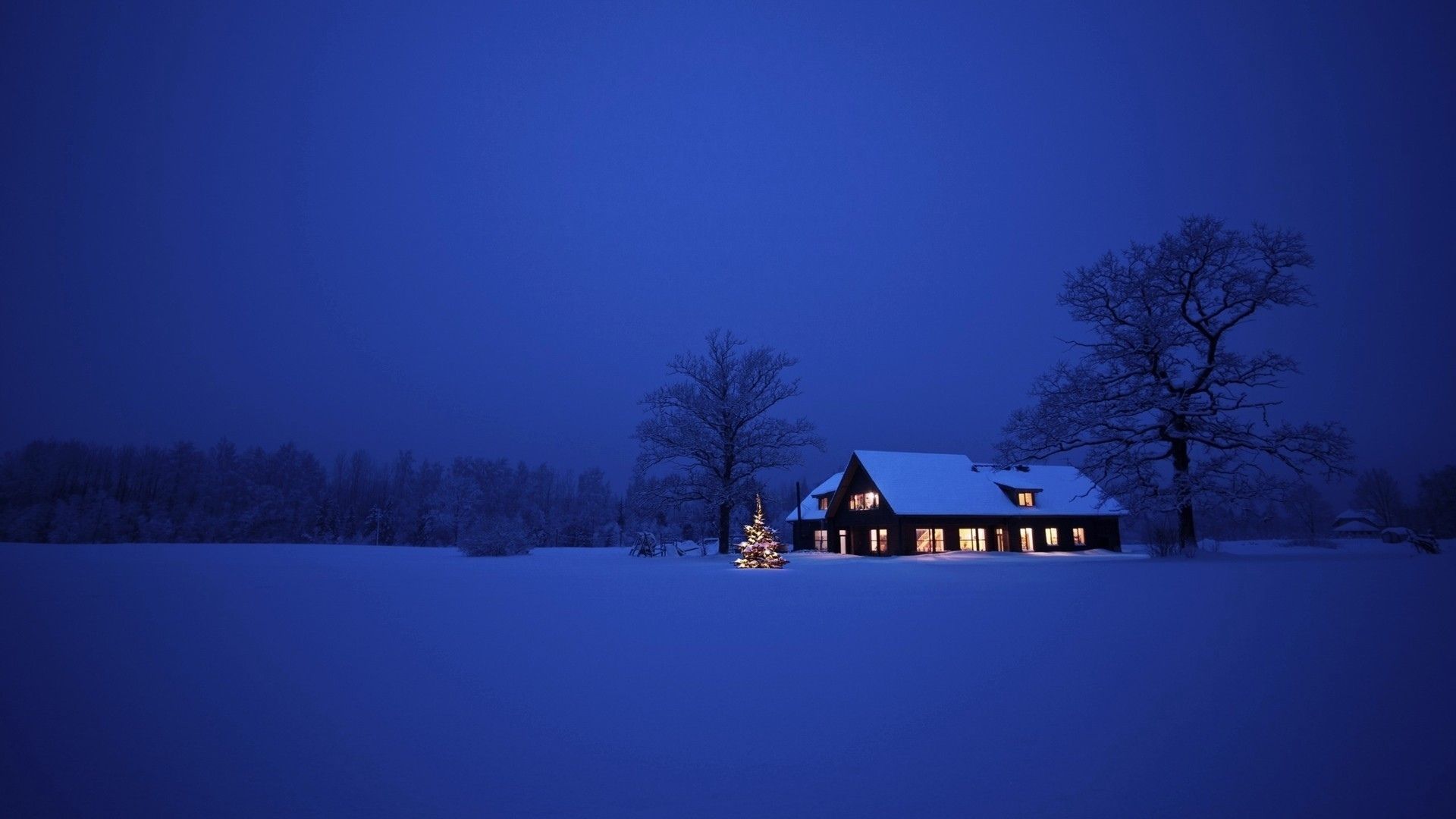 Winterlandschaft, Haus, Blaue Stunde, Schnee, Bäume, Einsamkeit, 1920x1080, Desktop-Hintergrund