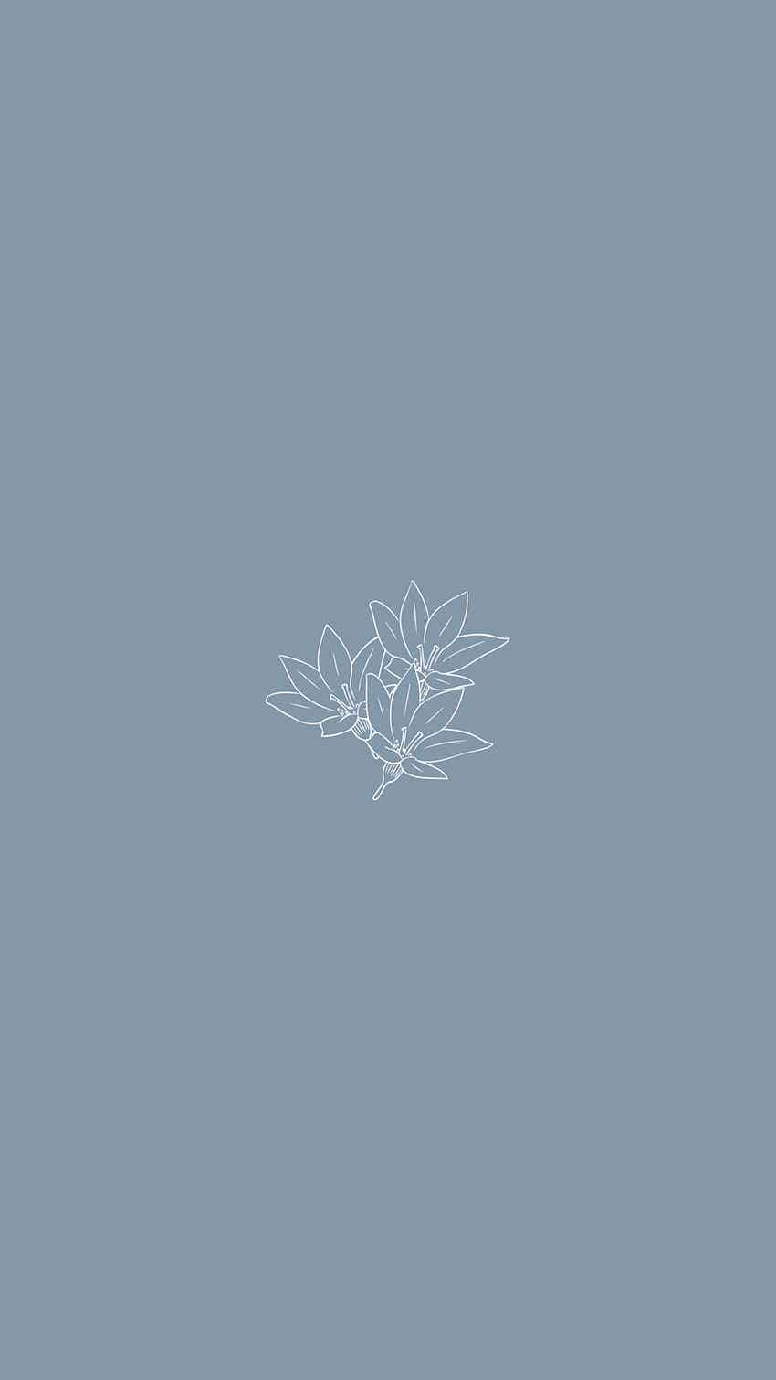 Blume, Line Art, Graublau, Schlicht, HD, Hintergrundbild fürs Handy