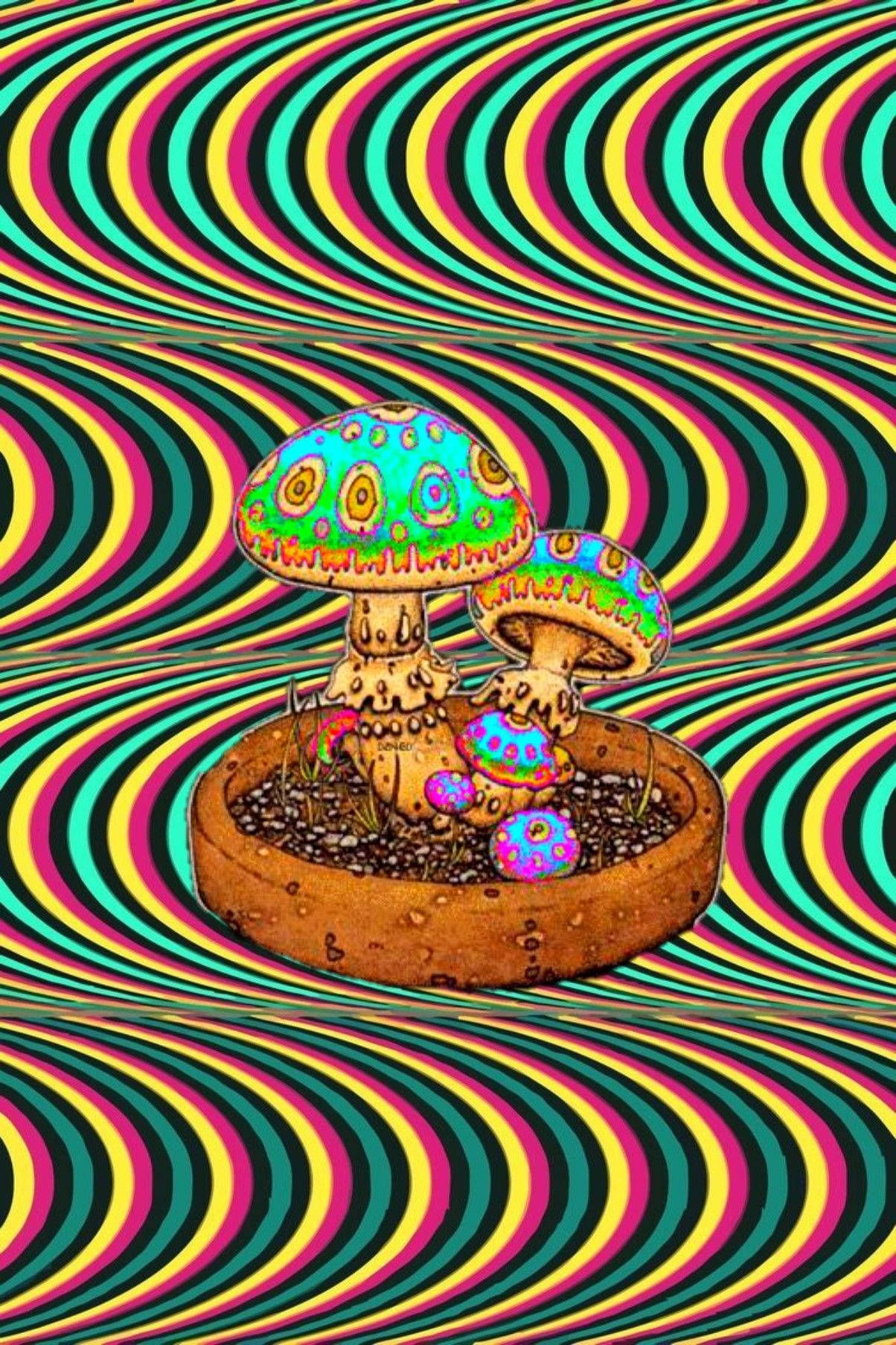 Pilze, Regenbogenwellen, Optische Täuschung, Retro, Full HD, Hintergrundbild fürs Handy