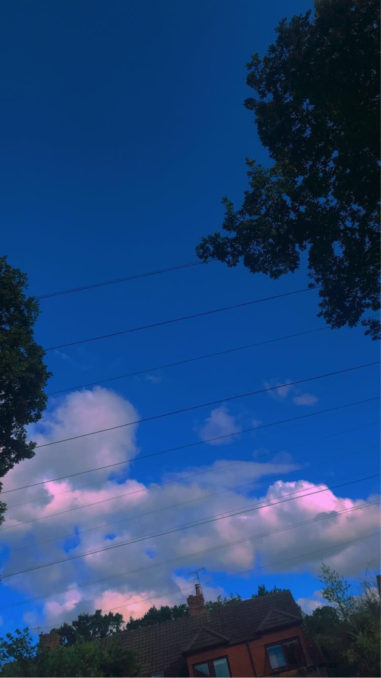 Wolken, Blauer Himmel, Baum, Rosa Wolken, Abend, Hochformat, Hintergrundbild fürs Smartphone