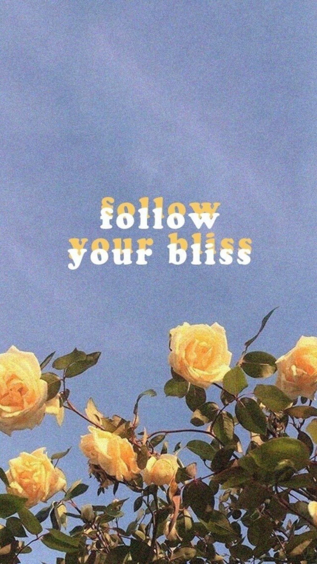 Follow your bliss, Gelbe Rosen, Spruch, Himmel, Vintage-Filter, 1242x2208, Handy-Hintergrund