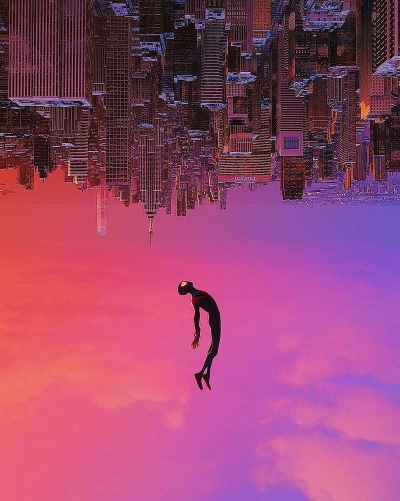 Miles Morales, Spider-Man: A New Universe, Kopfüber-Stadt, Fallen, Pink, HD, Tablet-Hintergrund