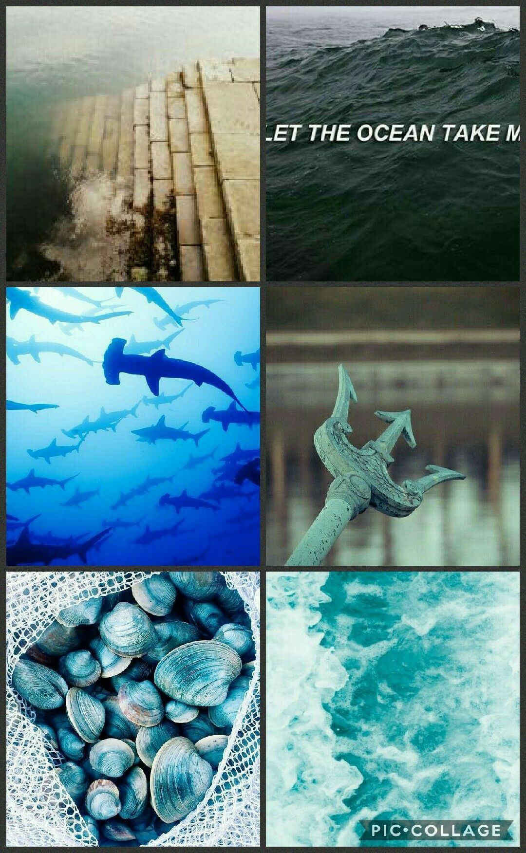 Aquaman, Ästhetische Collage, Hammerhai, Meer, Türkis, Full HD, Hintergrundbild fürs Handy