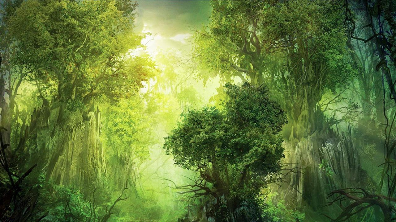 Urwald, Lichtung, Sonnenlicht, Hängende Moose, Fantasy, HD, Hintergrund für den Desktop