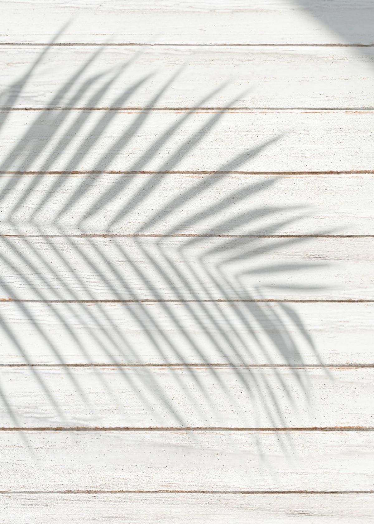 Weiße Holzbretter, Palmblatt-Schatten, Hell, Minimalismus, Full HD, Tablet-Hintergrund