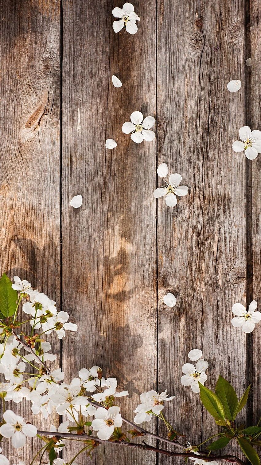 Holzbretter, Weiße Blüten, Frühling, Braun, HD, Sperrbildschirm fürs iPhone